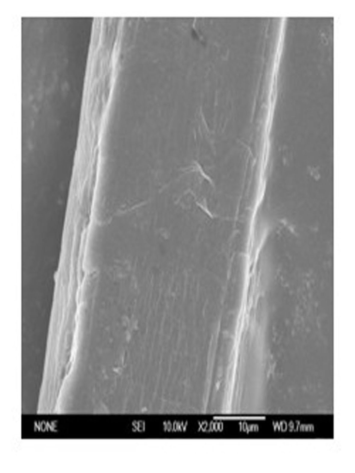 Hemp degumming and softening synchronous treatment process