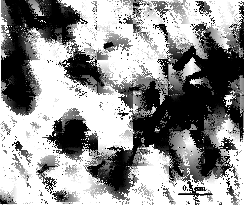 Hydroxycamptothecin nano crystal lyophilized powder for injection preparation and preparation method thereof