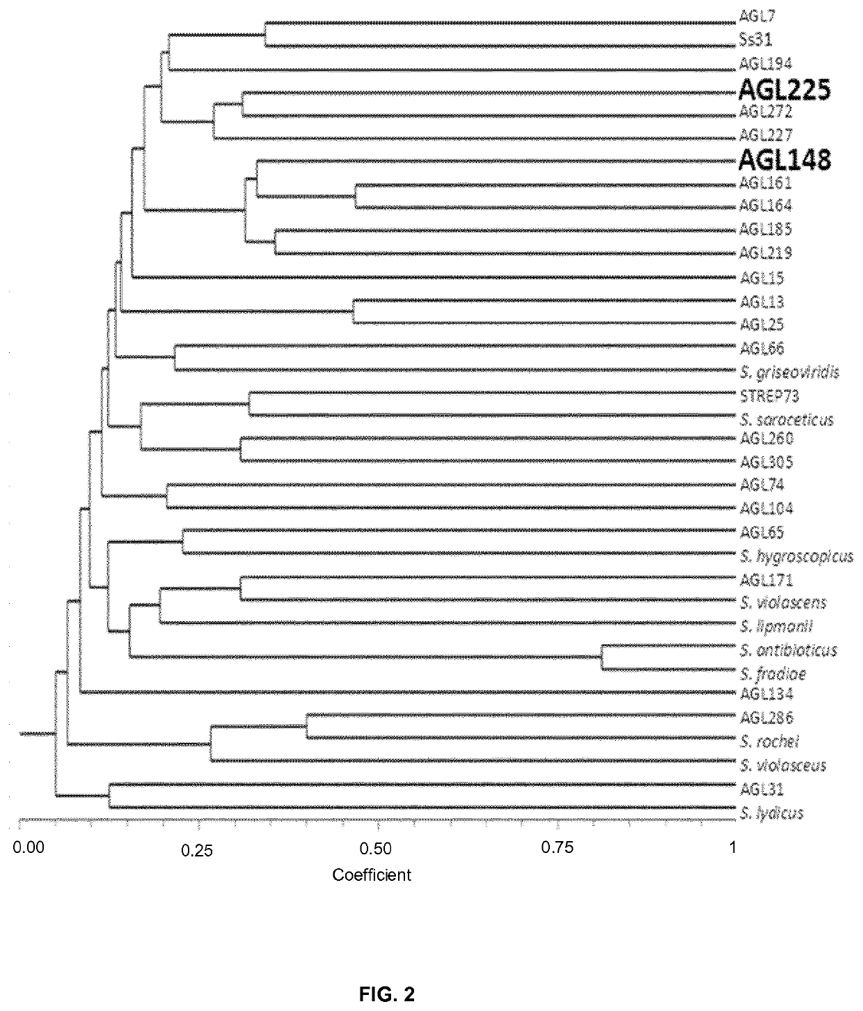 Use of compositions containing streptomyces melanosporofaciens agl225 in controlling plant diseases