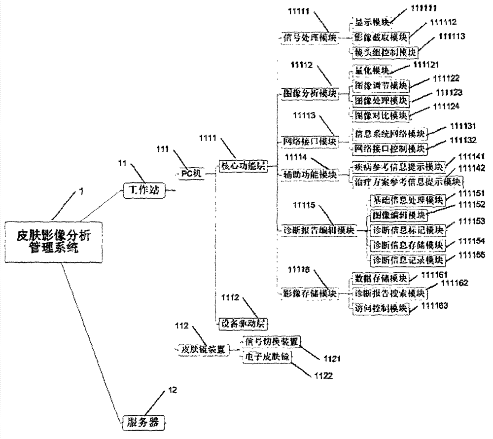 Skin image analysis management system