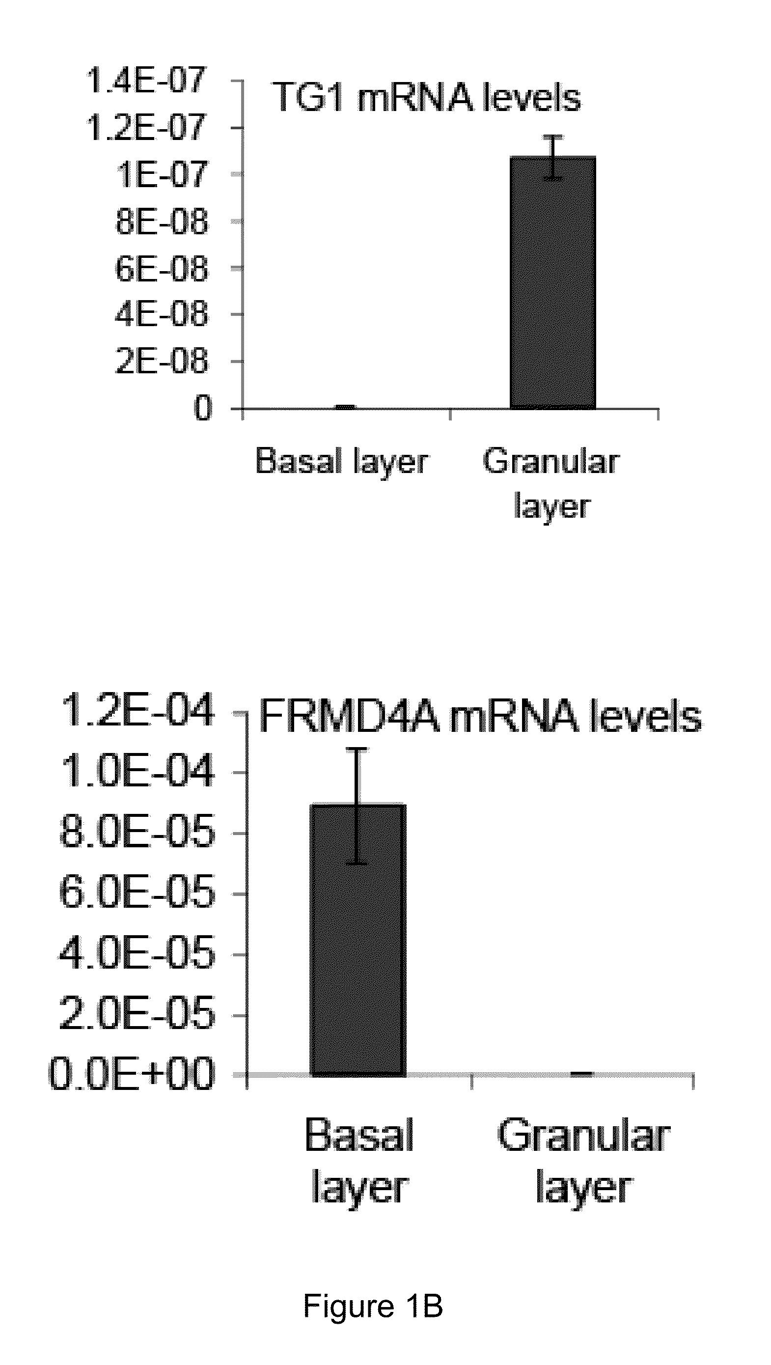 Frmd4a antagonists and their uses