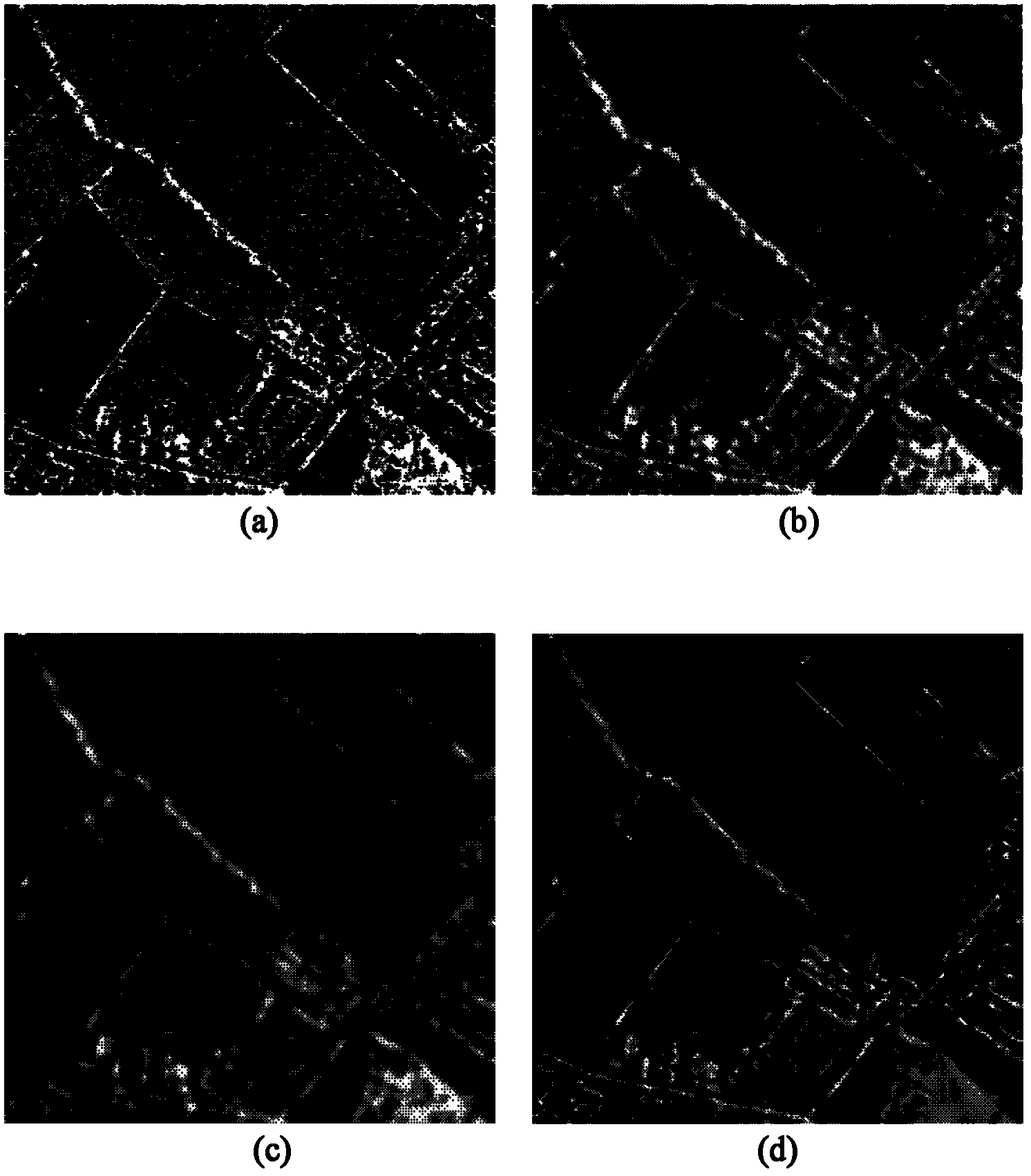 SAR (Synthetic Aperture Radar) image speckle reduction method based on sparse representation