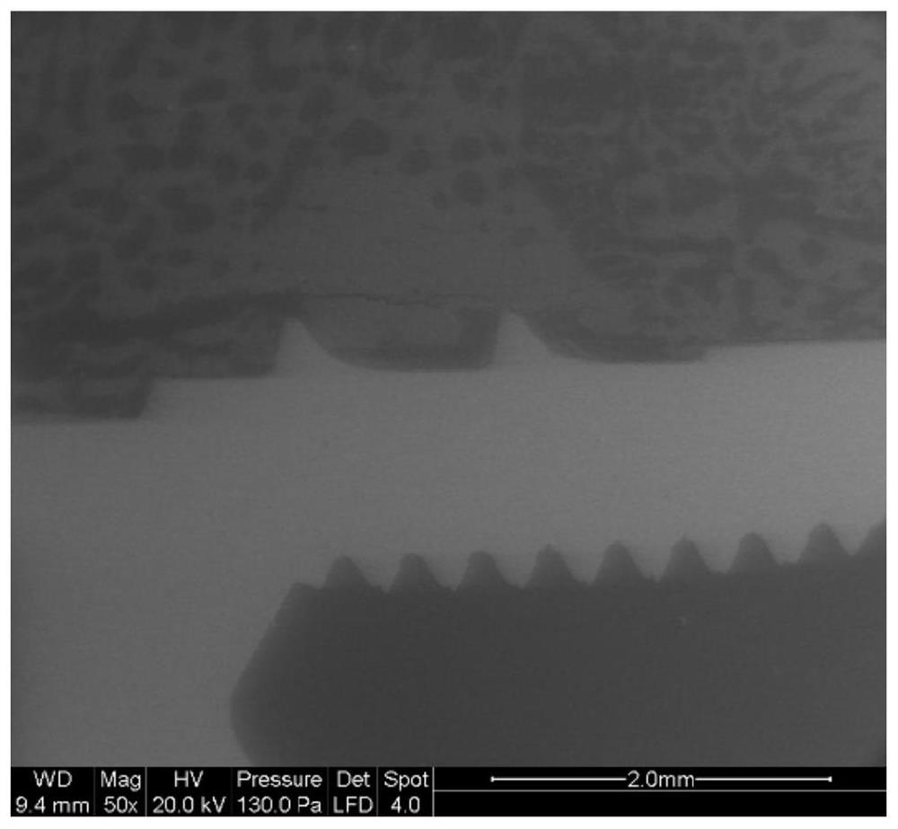 Preparation method of zirconium oxide implant biological coating and zirconium oxide implant