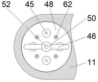 Automatic shelling and screening device for shelled medicinal materials