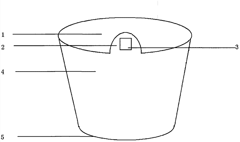 Paper bowl