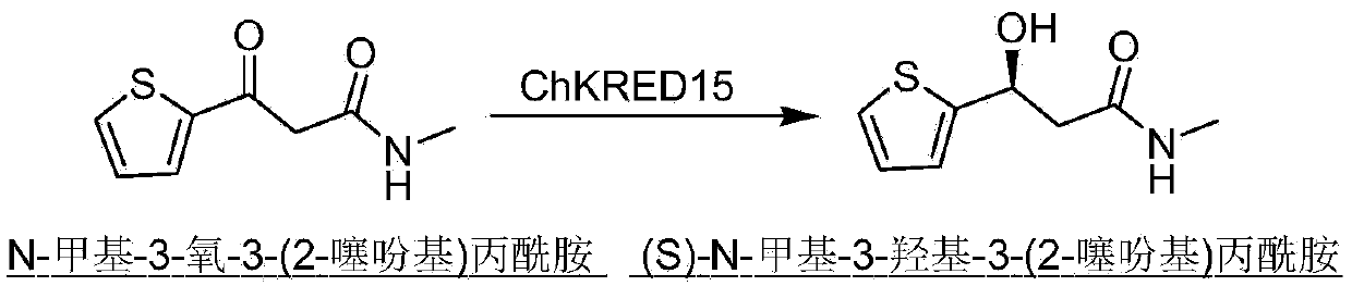 Carbonyl reductase, gene thereof, and application thereof in preparing Duloxetine chiral intermediates