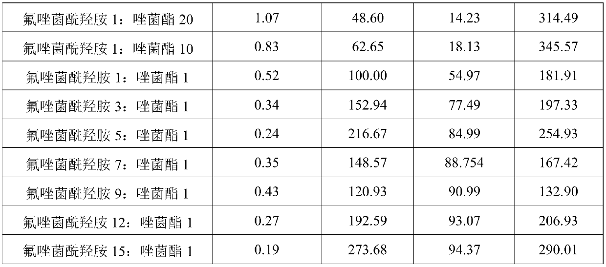 Agent composition for preventing and treating gray mold of Macadamia ternifolia