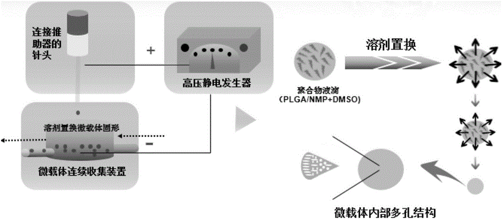 Preparation method of microcarrier