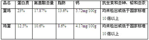 Preparation method of folium cortex eucommiae biologically fermented compound bacterium feed additive