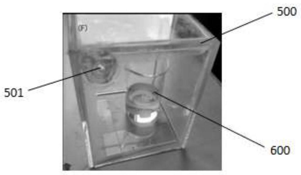 Preparation method of monolayer lattice