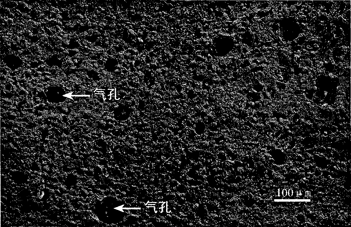 Device and method for ultrasonic strengthening frozen dough