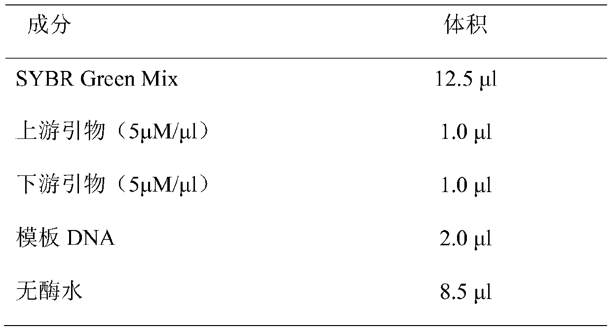 Application of synm in preparation of tools for diagnosing or treating endometrial cancer