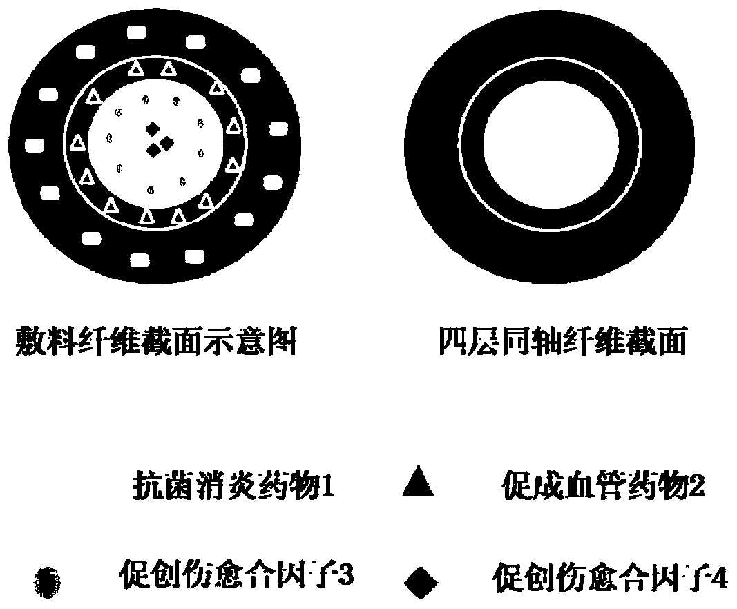 A kind of four-layer coaxial fiber wound dressing and preparation method thereof