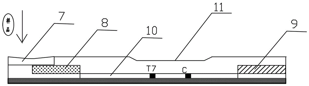 Seven-link gold label detection card and preparation method thereof