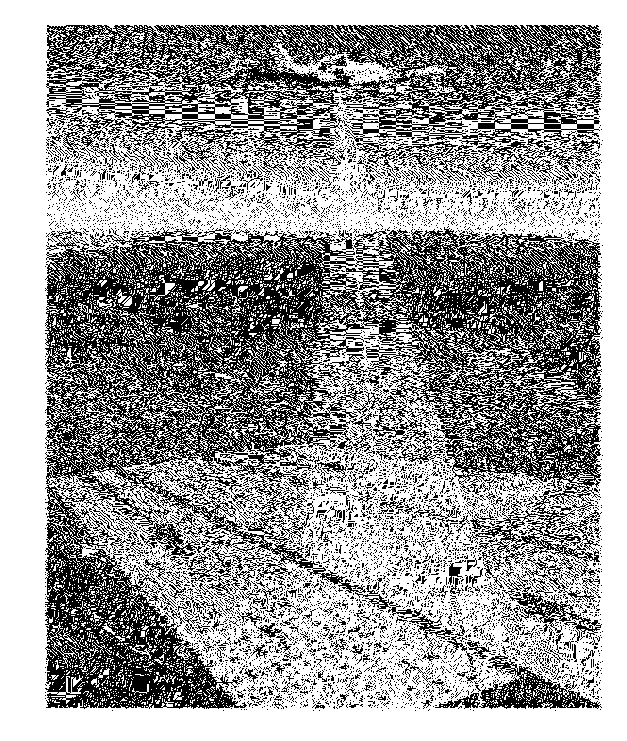 Method and system for estimating economic losses from wind storms