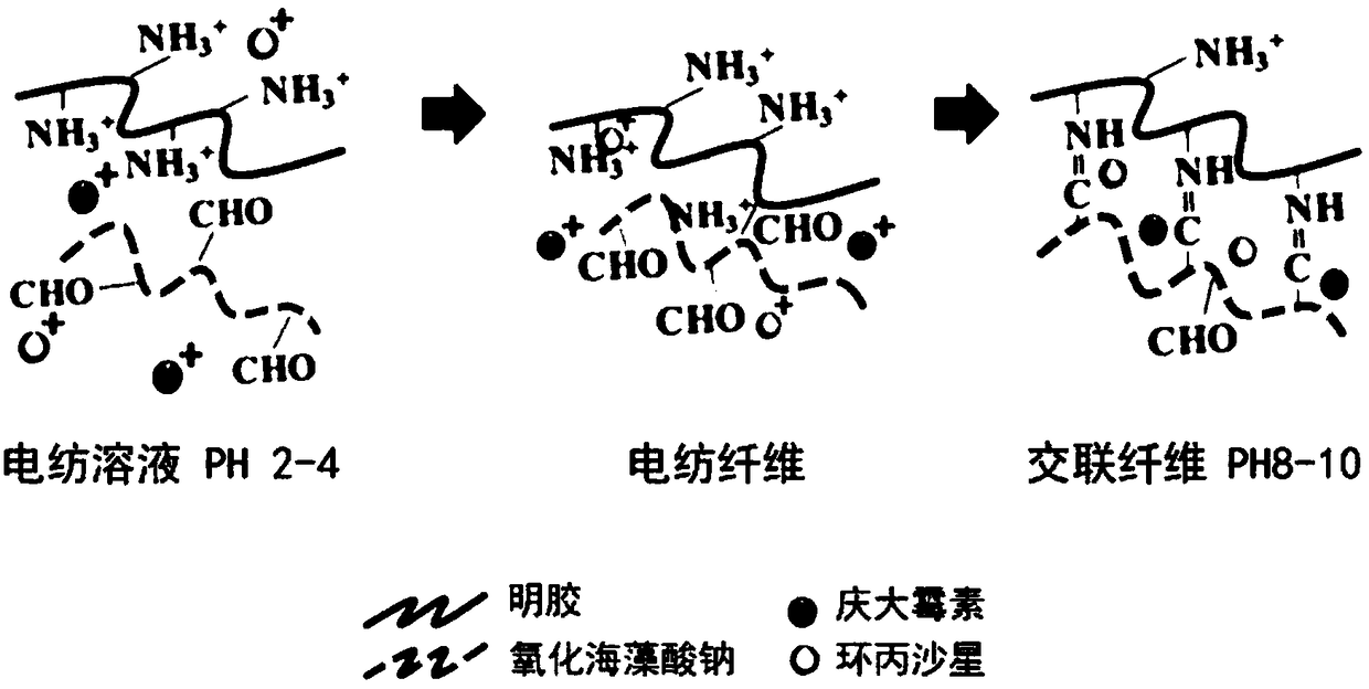 Drug-loaded biopolymer composite nanofiber membrane and preparation method thereof