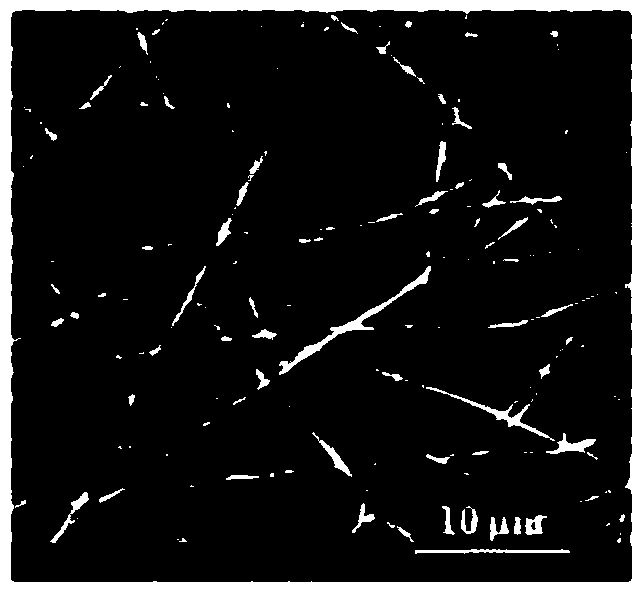 Drug-loaded biopolymer composite nanofiber membrane and preparation method thereof