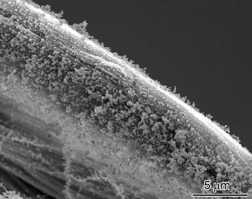 Method for modifying carbon nano tube by using poly3-hexylthiophene and modified carbon nano tube