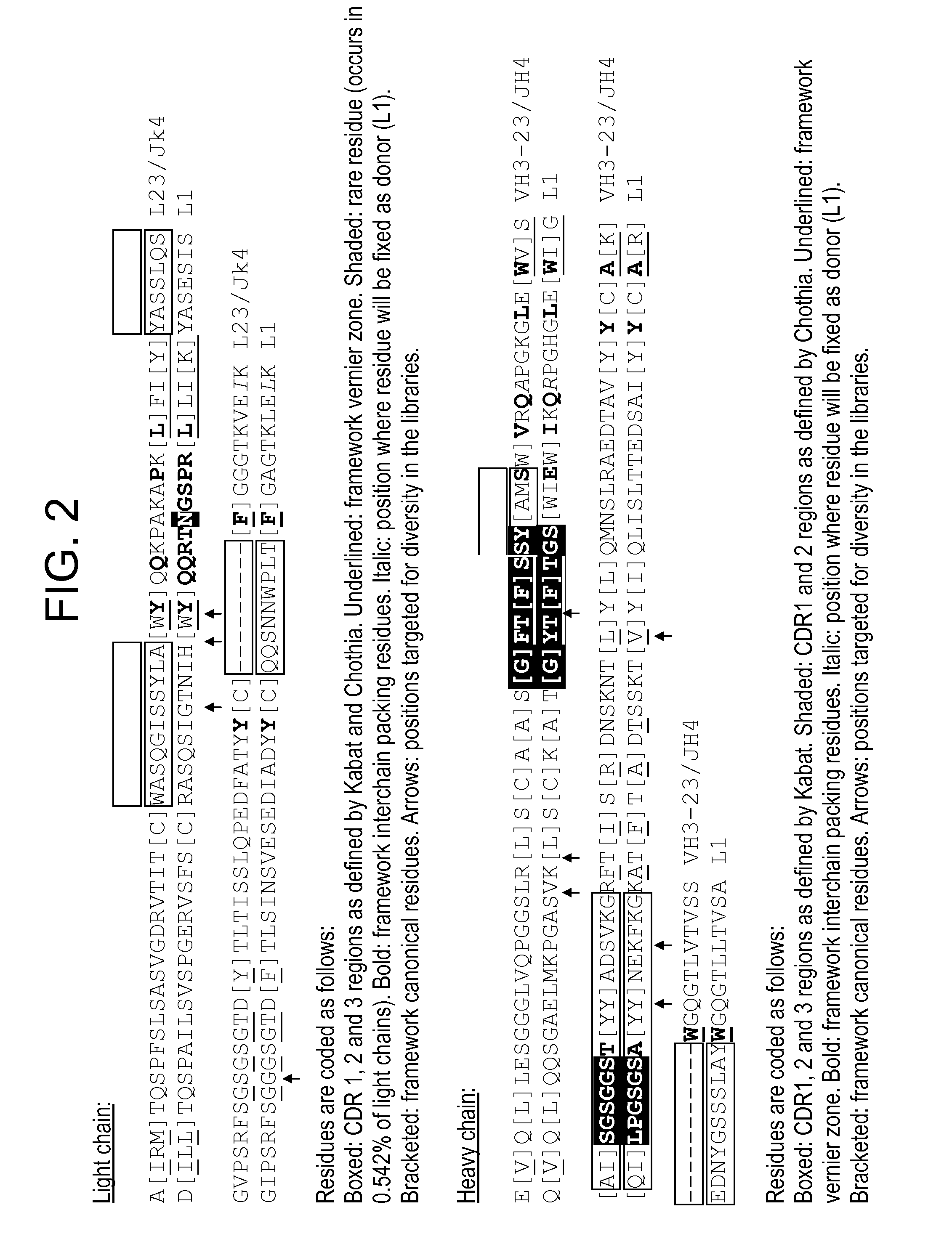 Humanization of antibodies