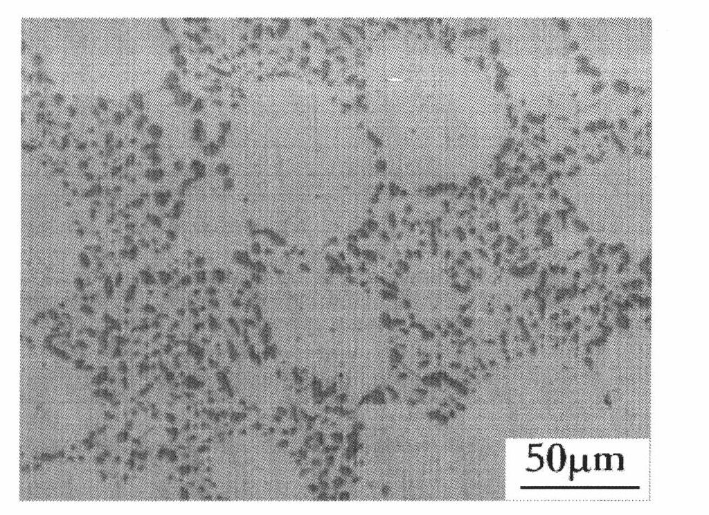 Method for casting aluminium alloy