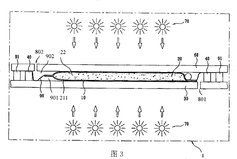 Printing plate producing method applying liquid photosensitive resin bag, and apparatus thereof