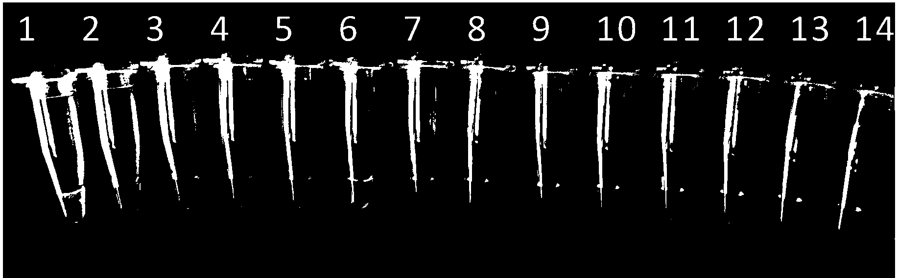 LAMP detection primer group of cry2Ab gene in transgenic crop and detection kit as well as detection method