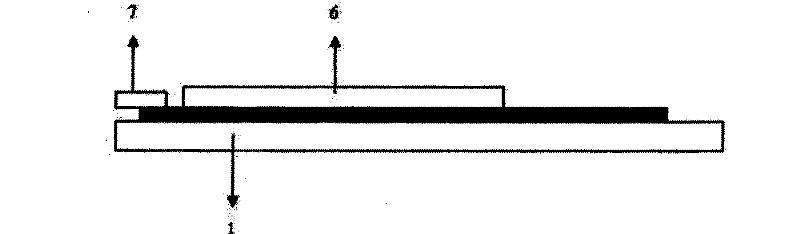 Silk-screen printing electrode and method for synthesizing chloramphenicol molecular imprinting film