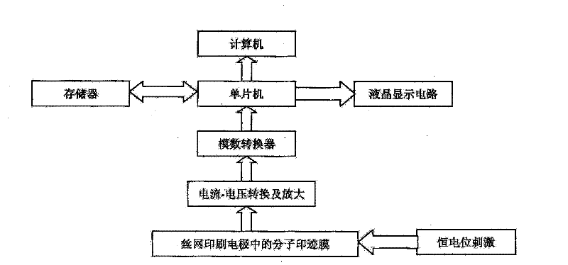 Silk-screen printing electrode and method for synthesizing chloramphenicol molecular imprinting film