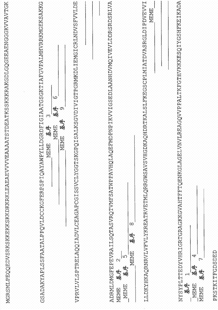 Plants having enhanced yield-related traits and method for making the same