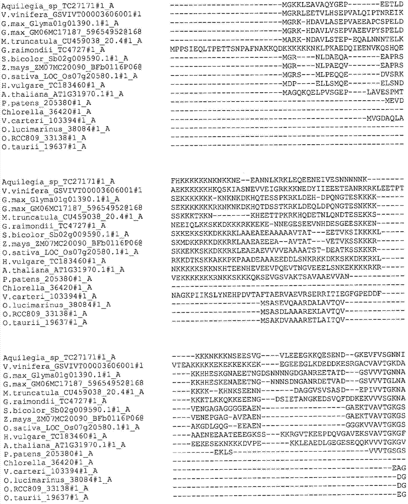 Plants having enhanced yield-related traits and method for making the same