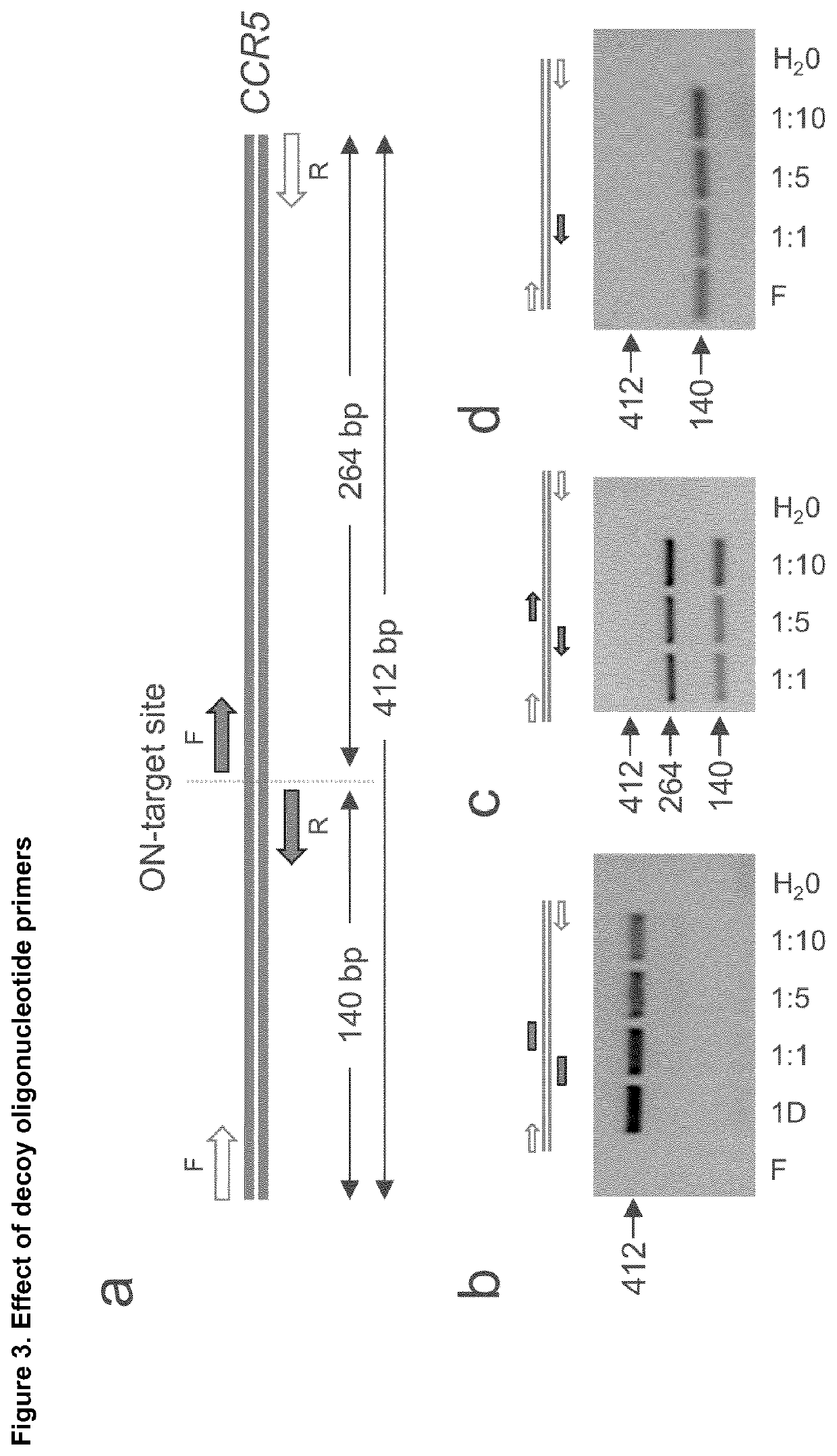 Method for characterization of modifications caused by the use of designer nucleases