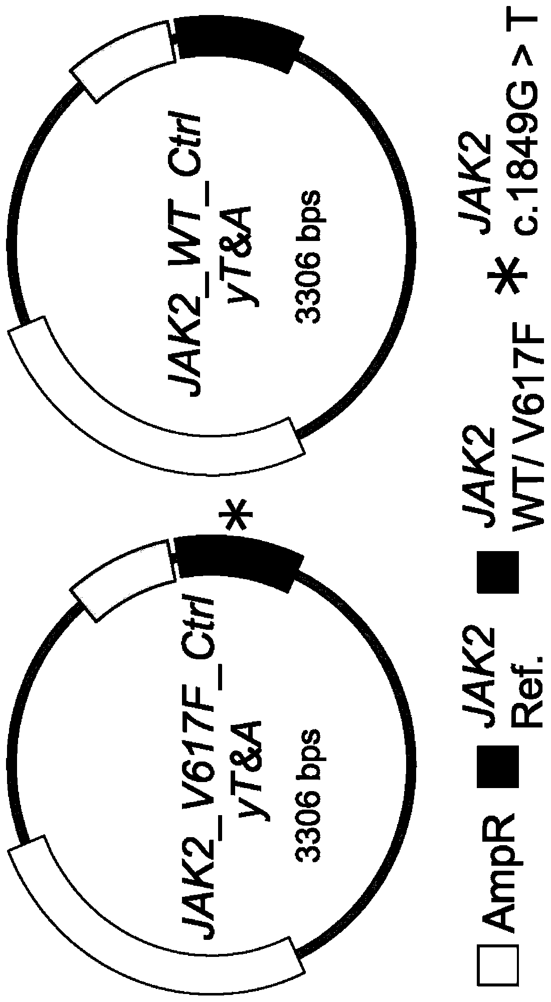 Method of quantifying mutant allele burden of target gene