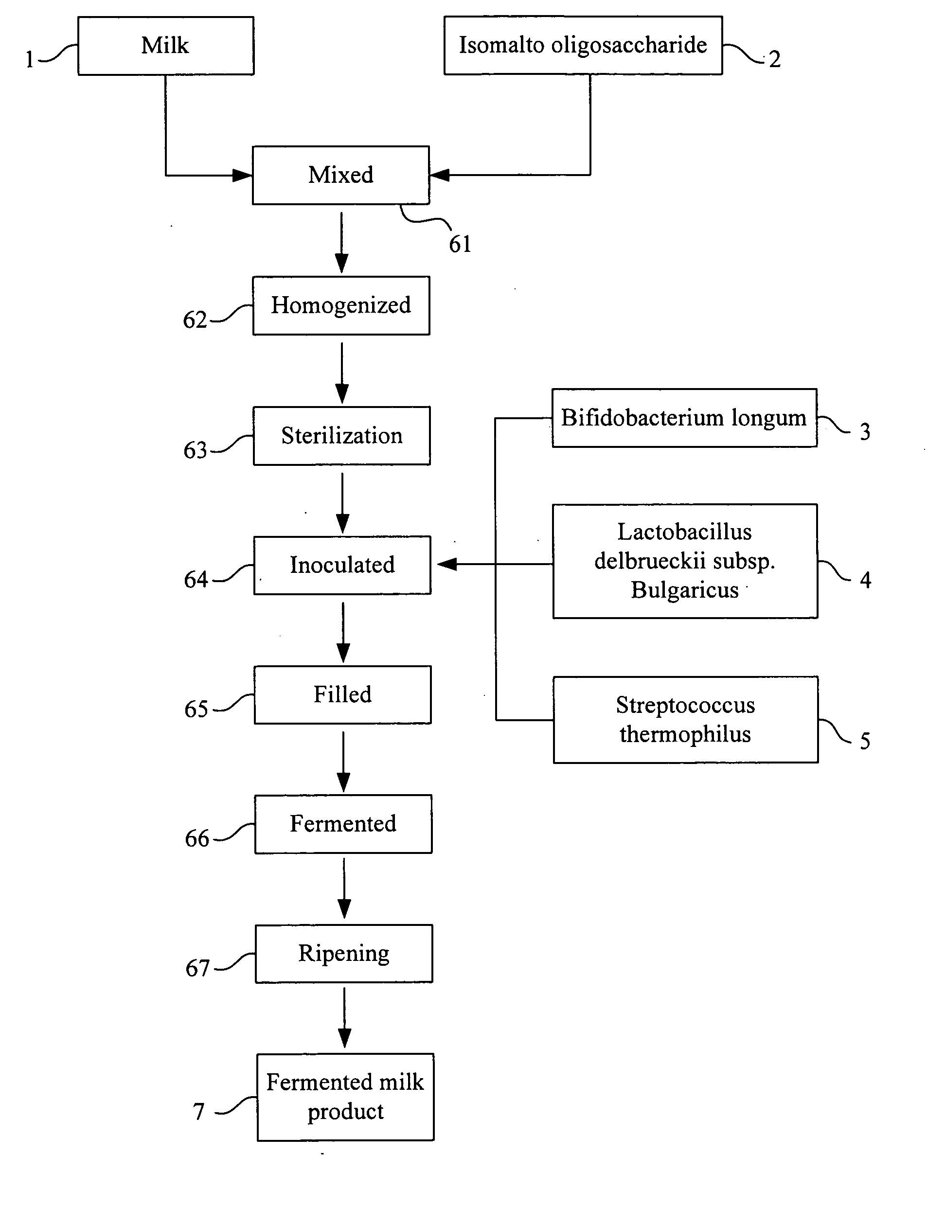 Fermented milk products containing bifidobacterium longum and isomalto oligosaccharide and the process for producing the same