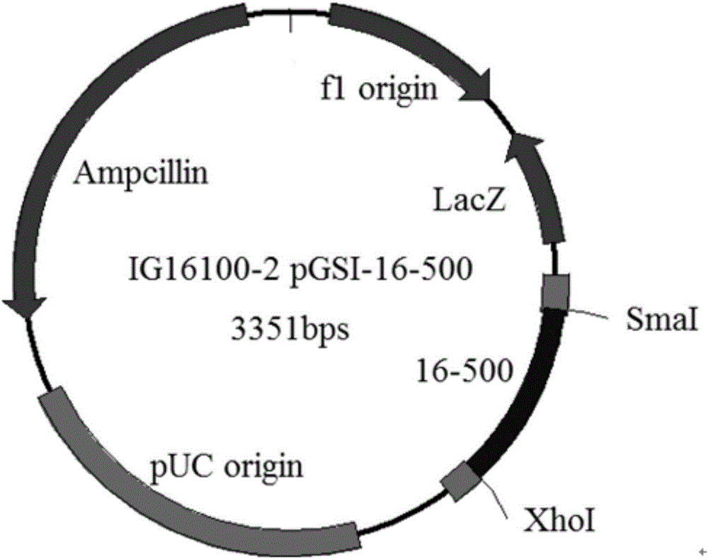 Nucleic acid composition for detecting HPV (Human Papilloma Virus) types as well as application and kit thereof