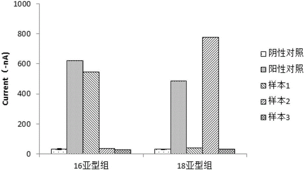 Nucleic acid composition for detecting HPV (Human Papilloma Virus) types as well as application and kit thereof