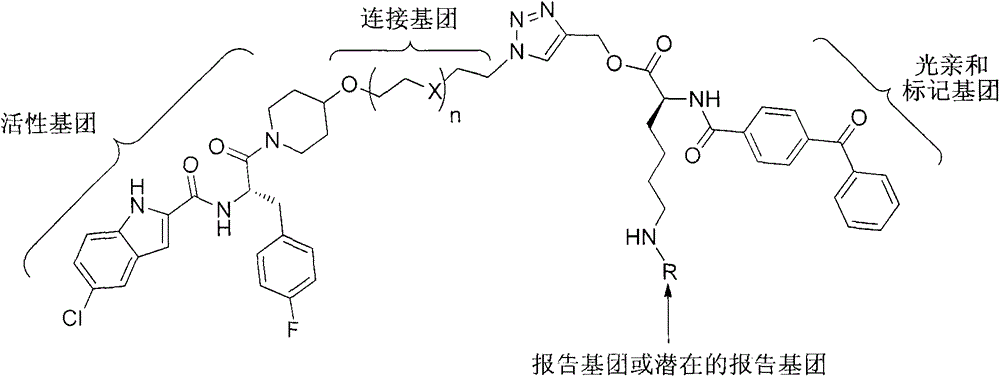 Photoaffinity labeling marker probe molecule for marking serum glycogen phosphorylase concentration level as well as preparation method and medical application of photoaffinity labeling marker probe molecule