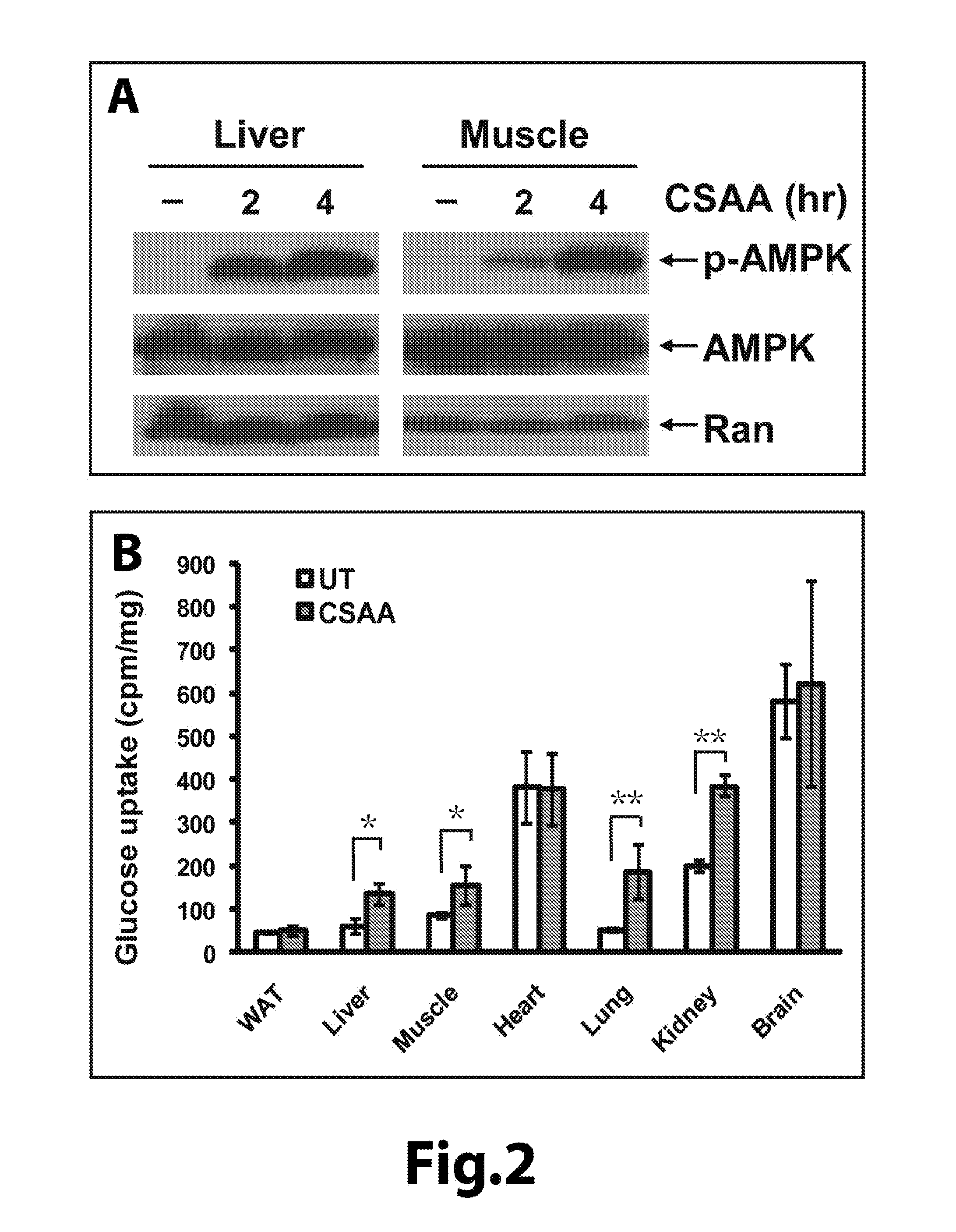 Treatment of type ii diabetes and diabetes-associated diseases with safe chemical mitochondrial uncouplers