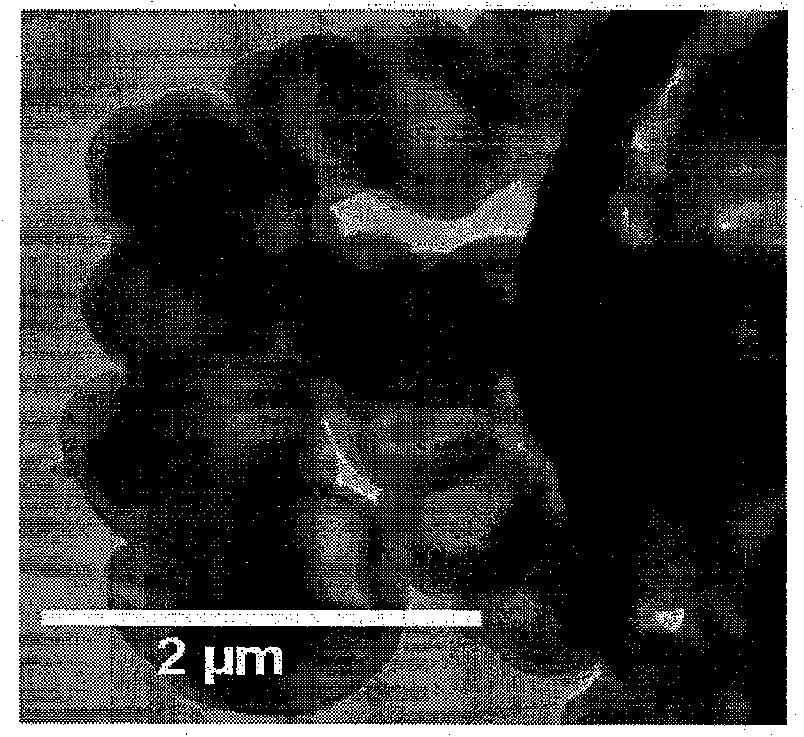 One-step synthesis method for hollow carbon case