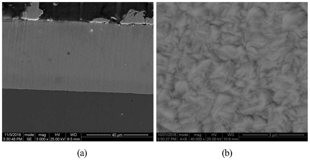 A kind of preparation method of body centered cubic tantalum coating