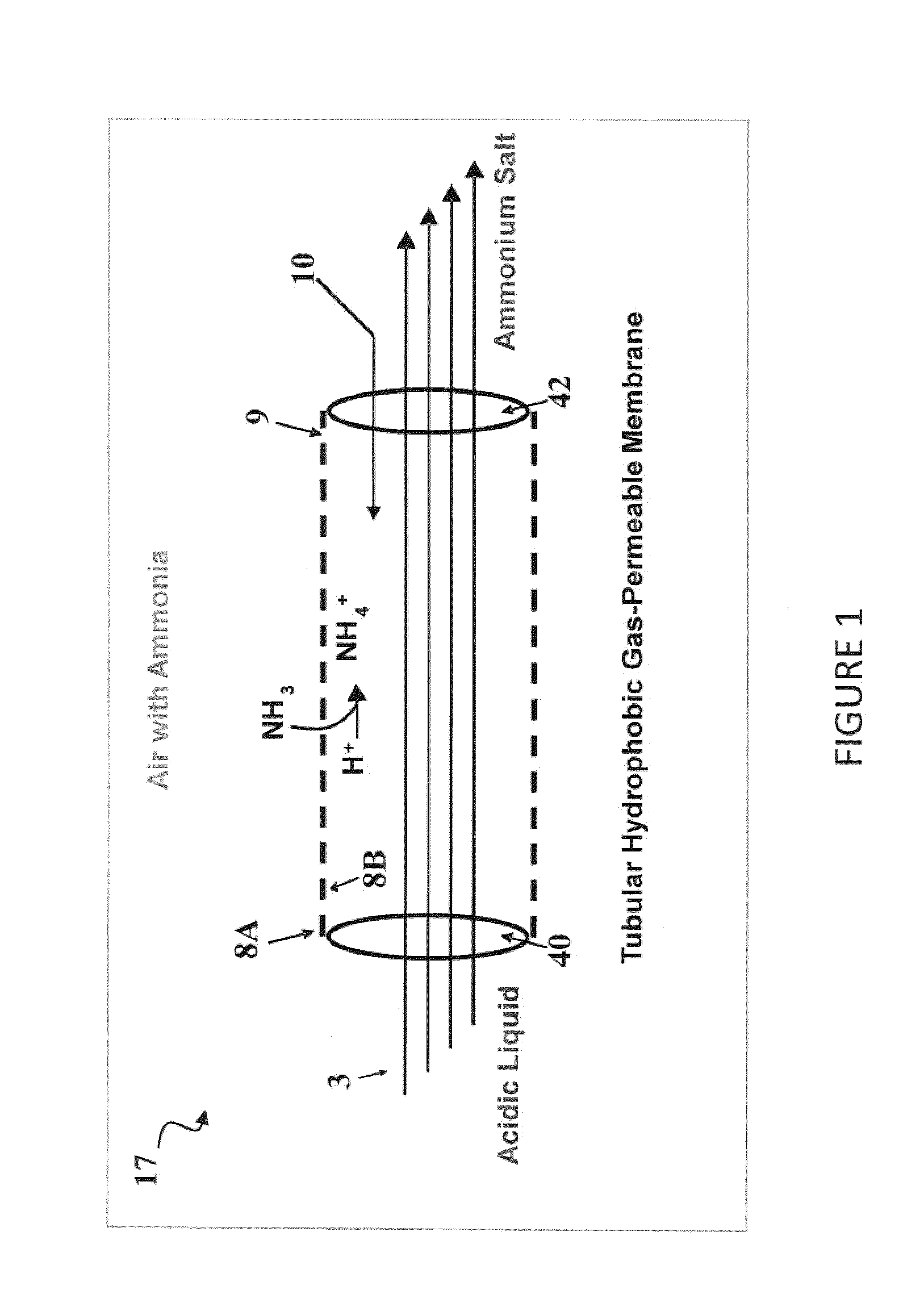 Gaseous ammonia removal system