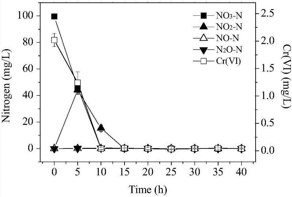 Pseudomonas stutzeri with both hexavalent chromium removal and aerobic denitrification performances and application of pseudomonas stutzeri