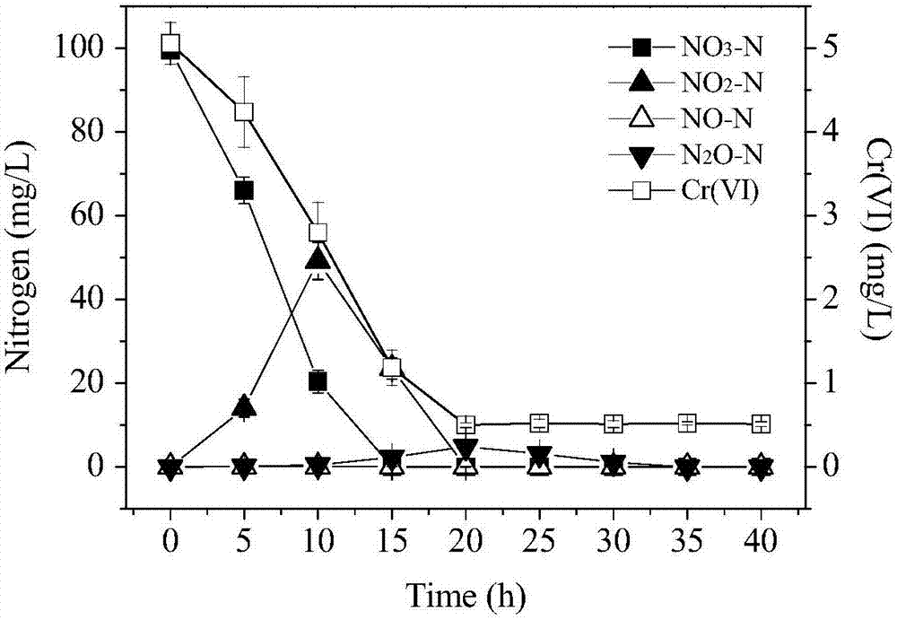 Pseudomonas stutzeri with both hexavalent chromium removal and aerobic denitrification performances and application of pseudomonas stutzeri