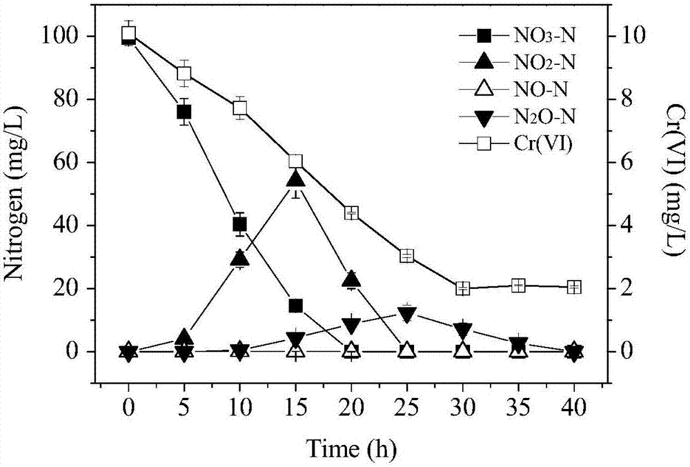 Pseudomonas stutzeri with both hexavalent chromium removal and aerobic denitrification performances and application of pseudomonas stutzeri