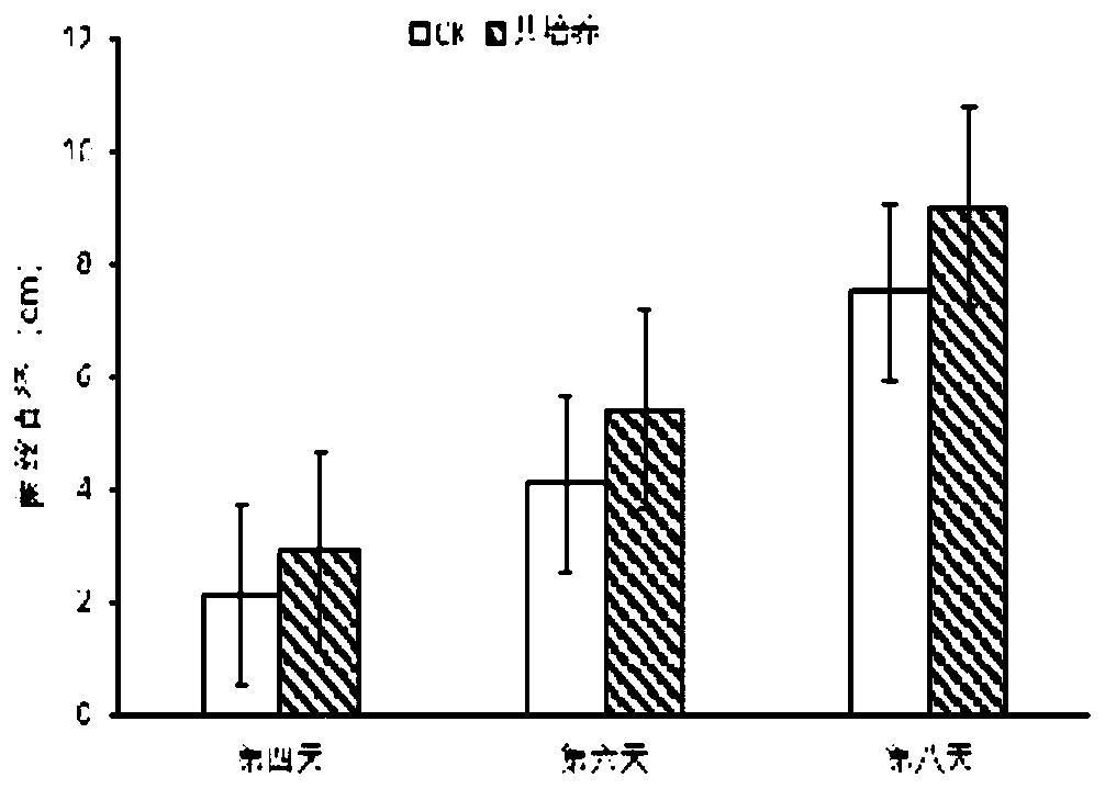 Pseudomonas putida S9 and application thereof in promotion of coprinus comatus growth