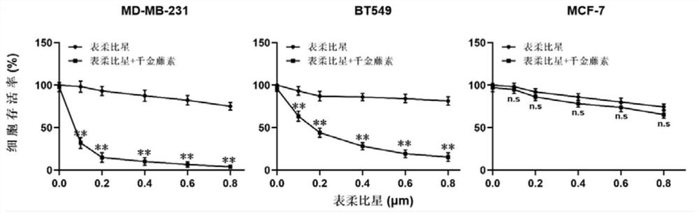 Chemotherapy pharmaceutical composition and application thereof