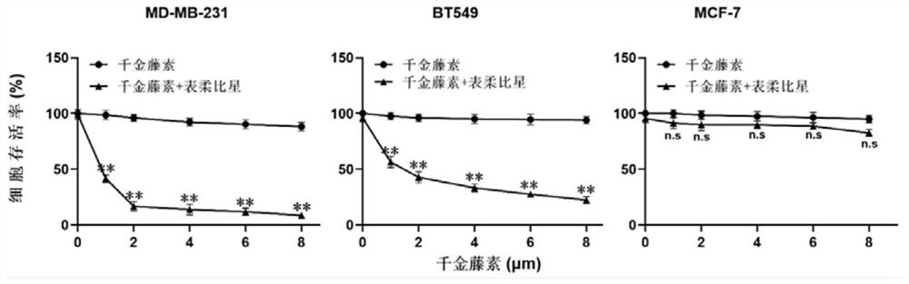 Chemotherapy pharmaceutical composition and application thereof