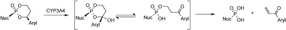 Novel cyclic phospholipids used for treating HCV infection