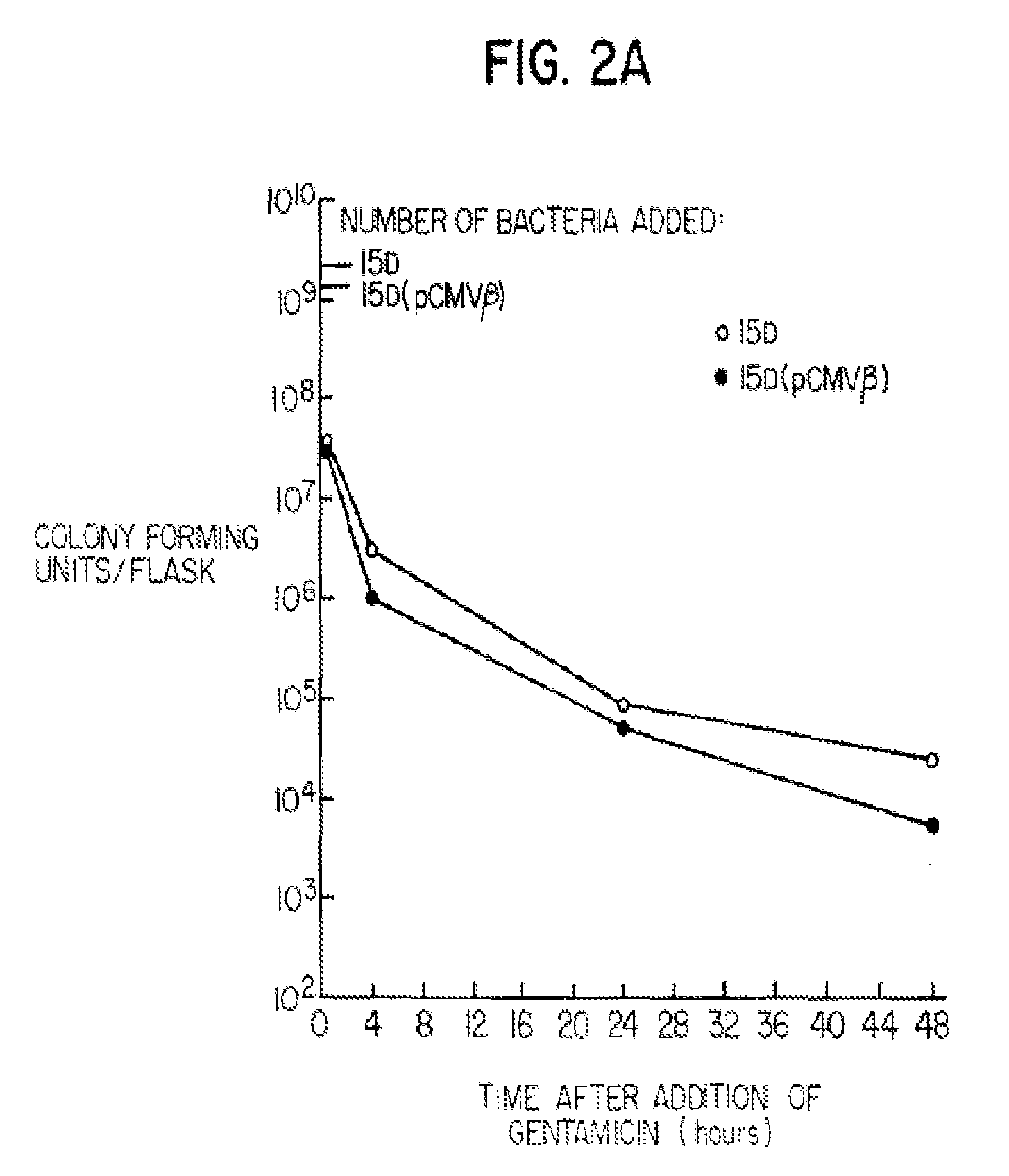 Bacterial delivery system