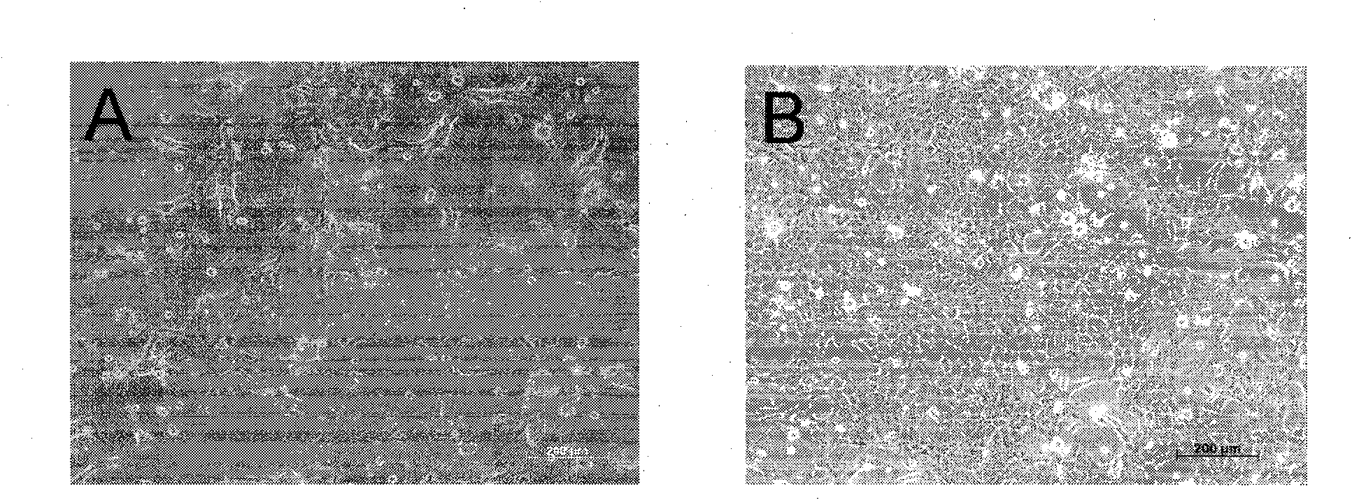 Cell culture system