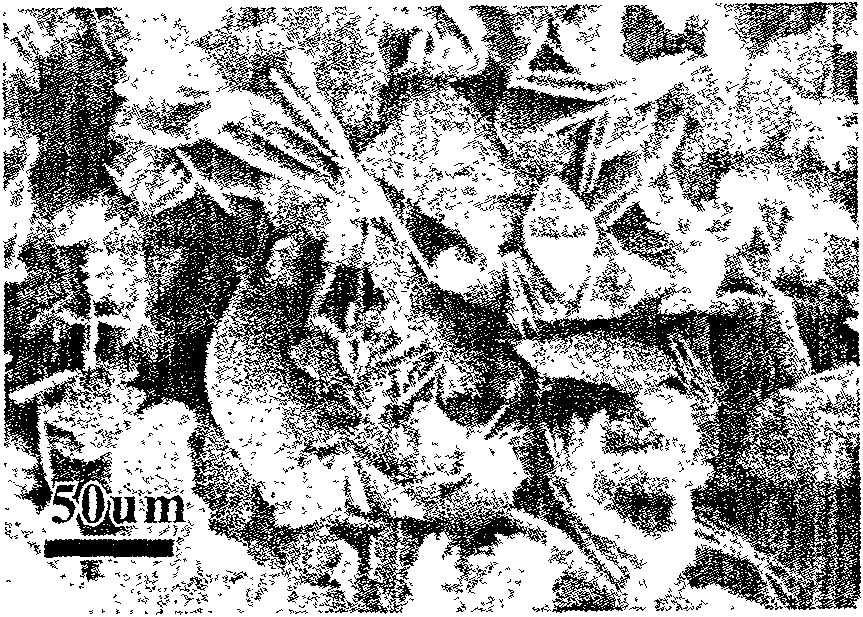 Preparation method of sheet-like zinc oxide